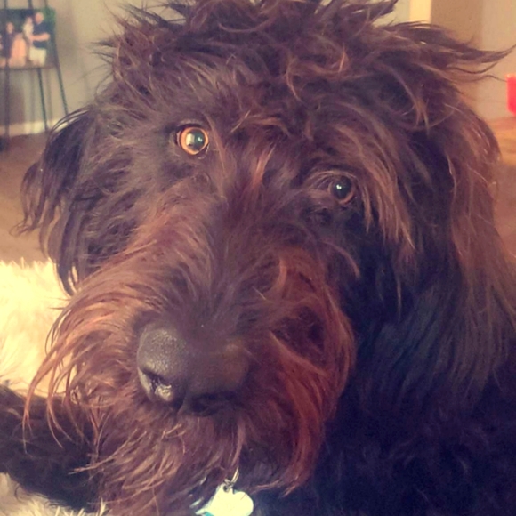 Meet your Posher, Kristie - Picture 5 of 7